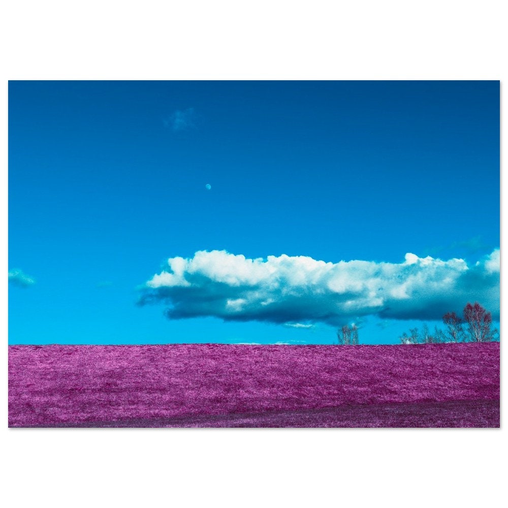 Dream Landscape – Blue Sky and Pink Meadow Poster
